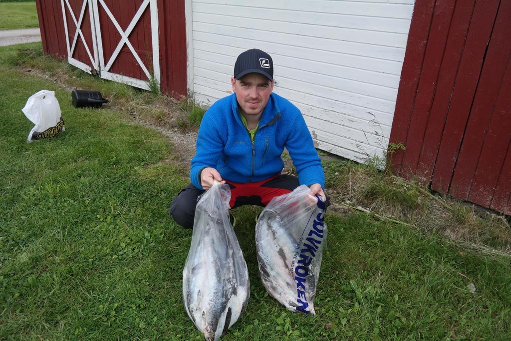 Holmset Camping And Fishing Namdalseid 외부 사진