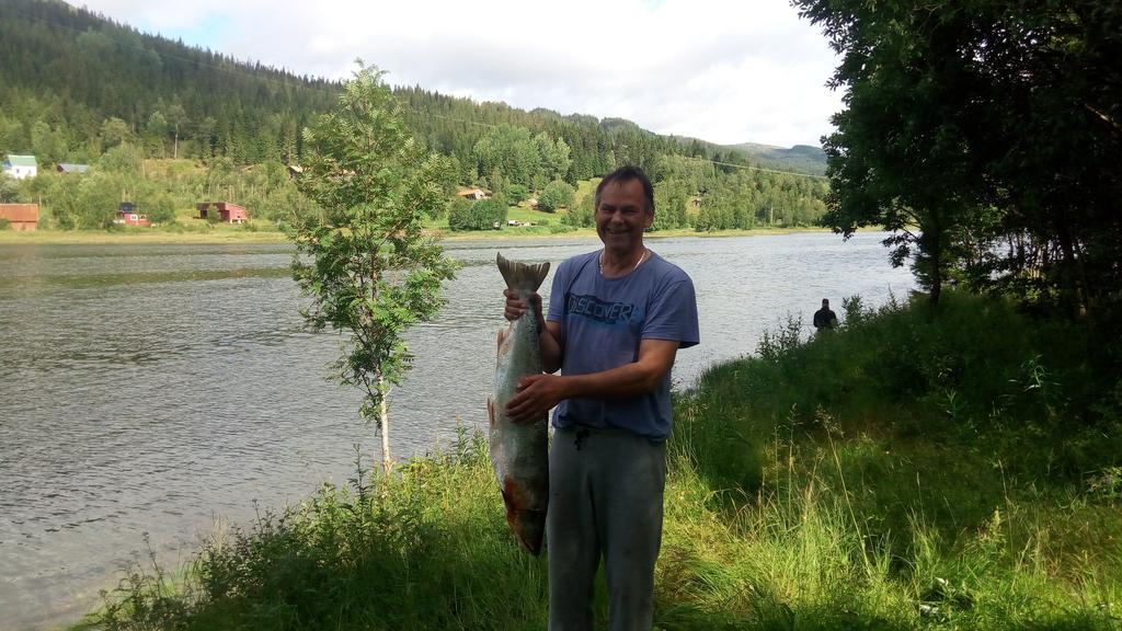 Holmset Camping And Fishing Namdalseid 외부 사진